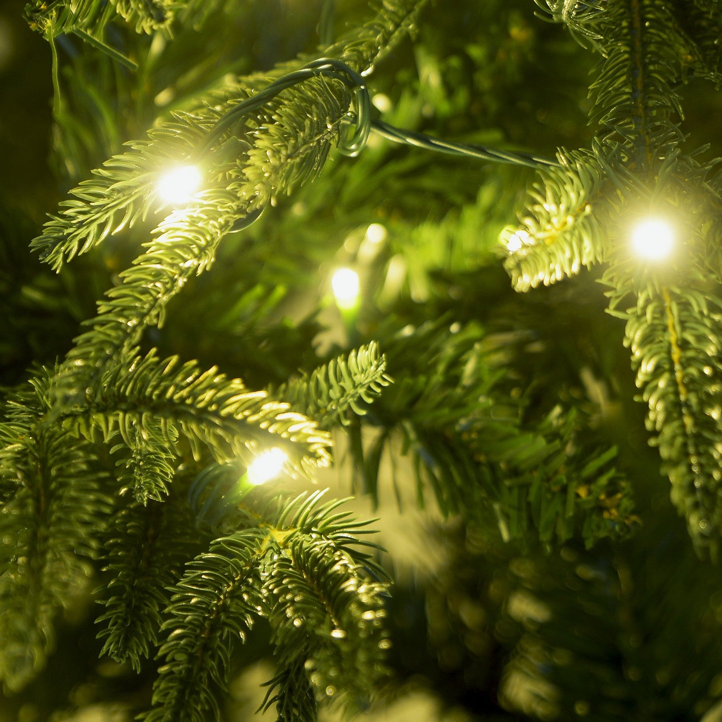 1.2m Prelit Everglow Fir Christmas Tree with 150 LED Lights
