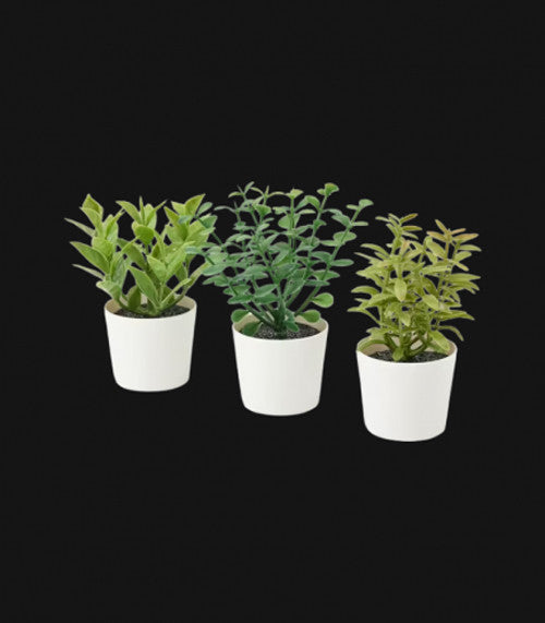 3 Pack of Artificial Herb Potted Plants in White Plastic 5cm Pot Interior Decoration