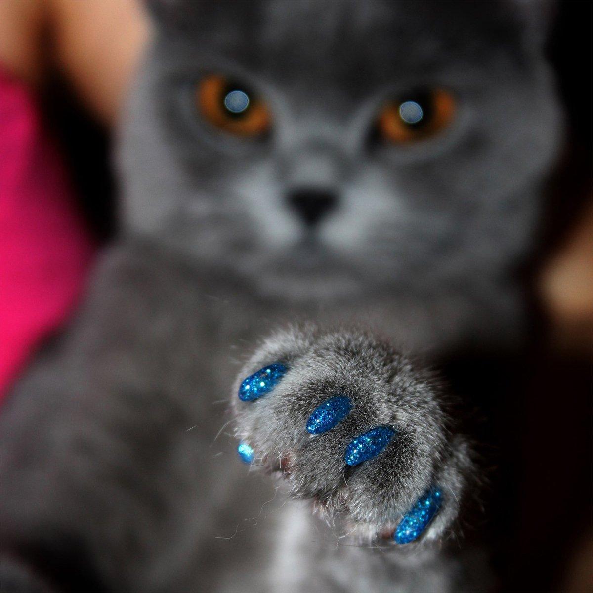 100PCS Anti Scratch Paw Covers for Cats and Kittens Nail Protector Soft Paw - Shiny-XS