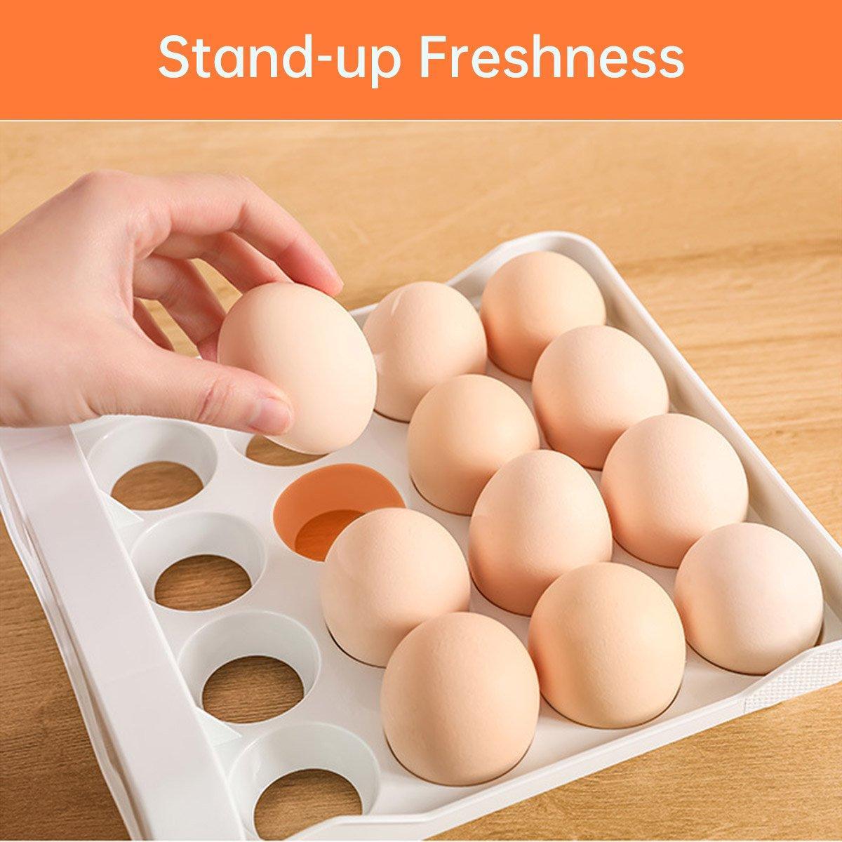 Plastic Double-Layer Egg Storage Box Food Grade Refrigerator Drawer Organizer
