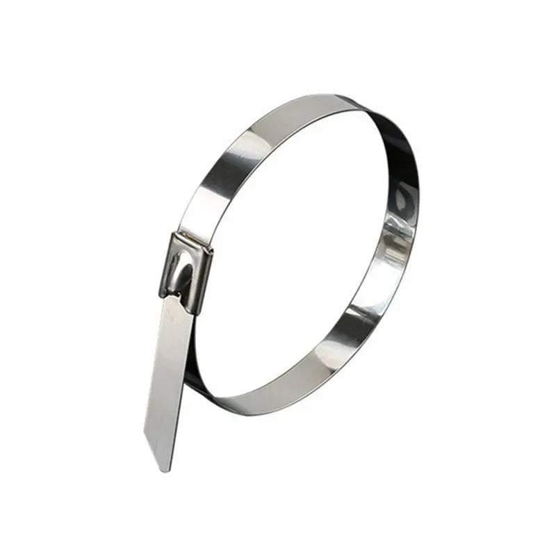 100x Stainless Steel Cable Ties SS304 Marine Grade Zip Strap Locking Wrap 100-800mm - 4.6*600mm