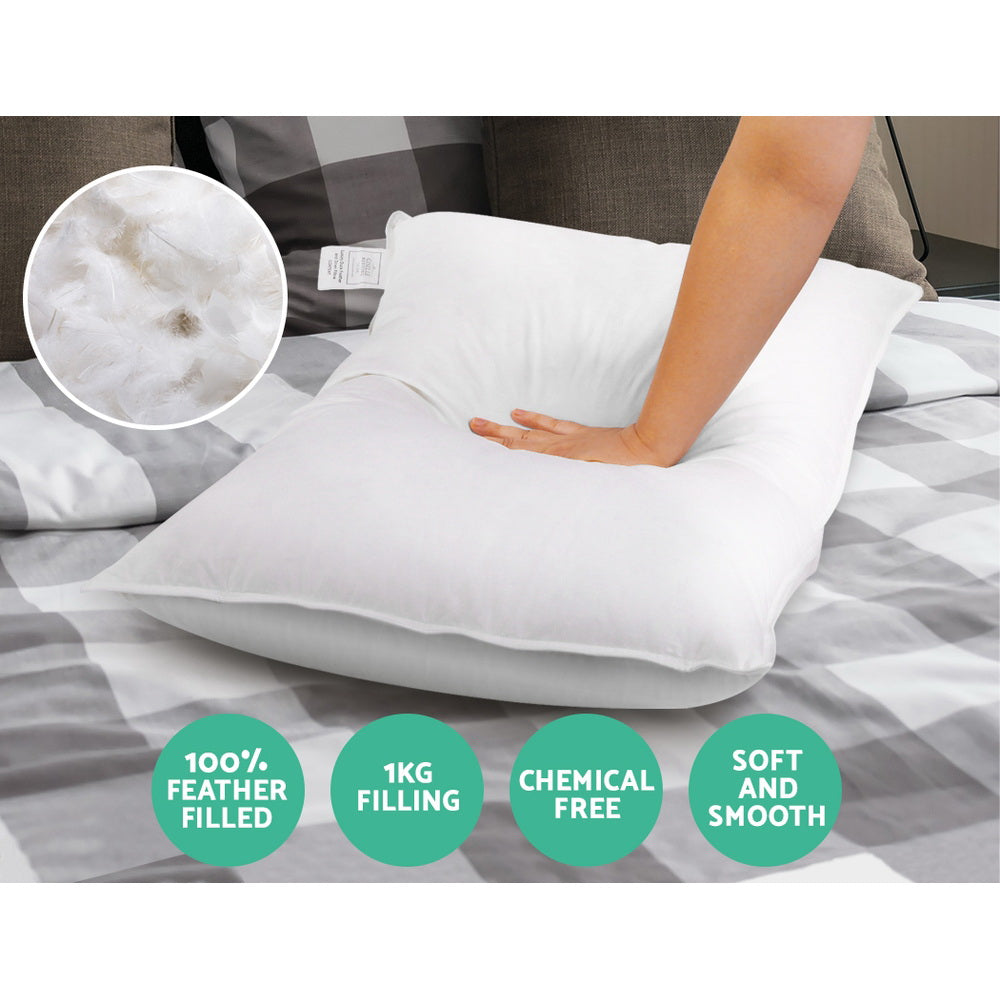 Goose Feather Down Pillow Twin Pack