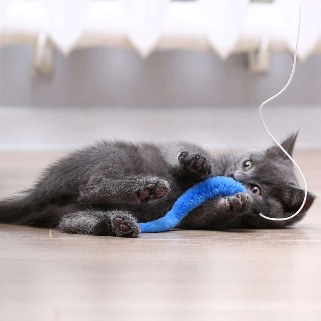 10 Packs Cat Worm Toys, Colorful Worm Cat Toy, Interactive Cats Wand Attachment Toys for Teaser Play and Chase Exercise with Kitten