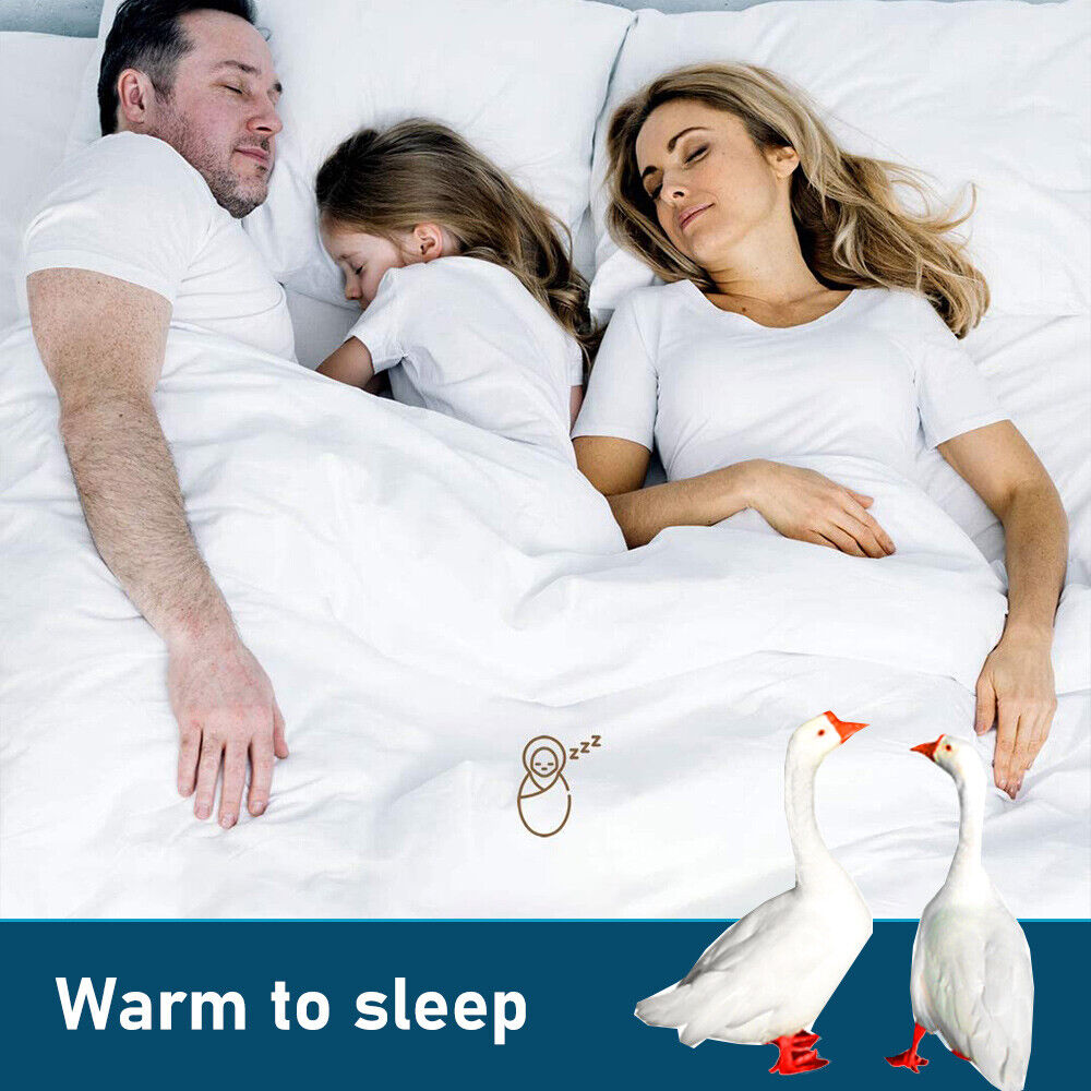 Goose Feather Down Quilt 500 GSM Duvet Doonas Queen:210x210cm