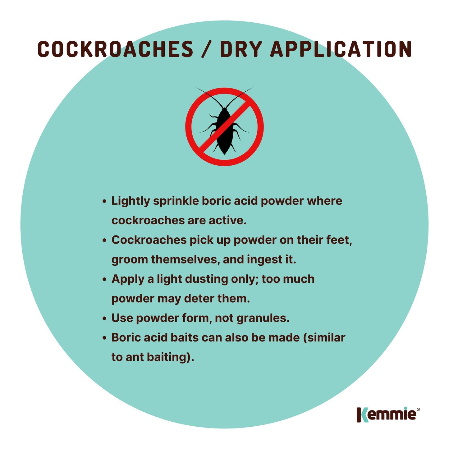 400g Boric Acid Powder High Purity Fully Soluble Granule Pest Ant Cockroaches