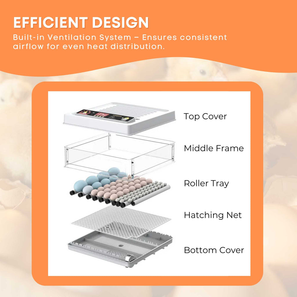Automatic 48 Egg Incubator - Electric Digital Turning Chicken Quail Duck Hatching