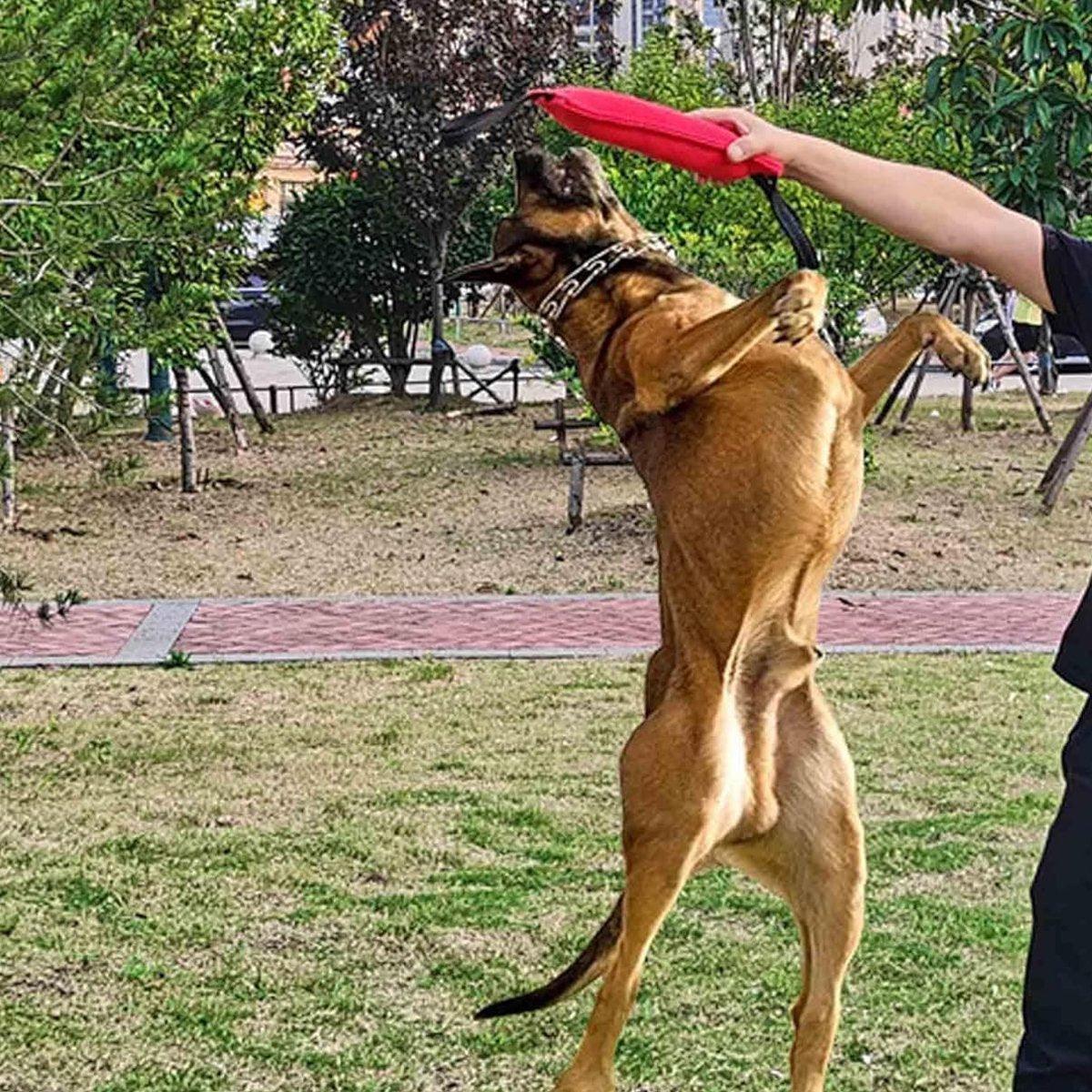 Cloth Bite Stick Teether Dog Training Bite Stick Durable Chew Toy for Pets