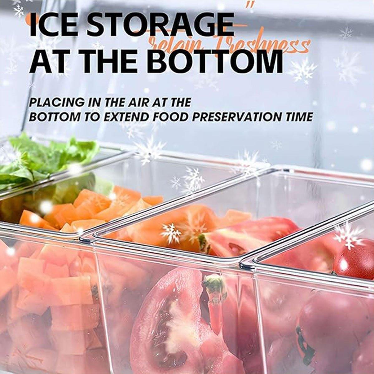 Outdoor Picnic Ice Box Split Salad Plate Fresh-keeping Food Storage Container