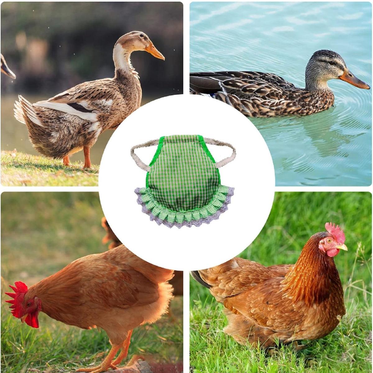 5pcs Pet Feather Protector Hen Apron Poultry Protection Apron for Chickens Birds