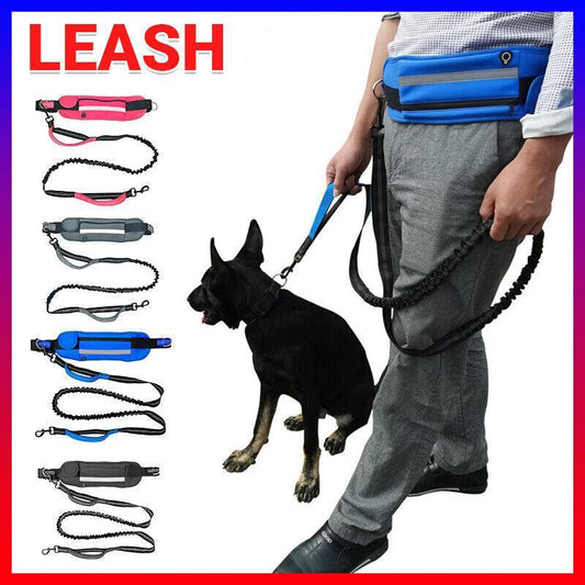 Adjustable Hands Free Dog Leash Lead + Waist Bag Belt Jogging Walking Running - Black + Blue