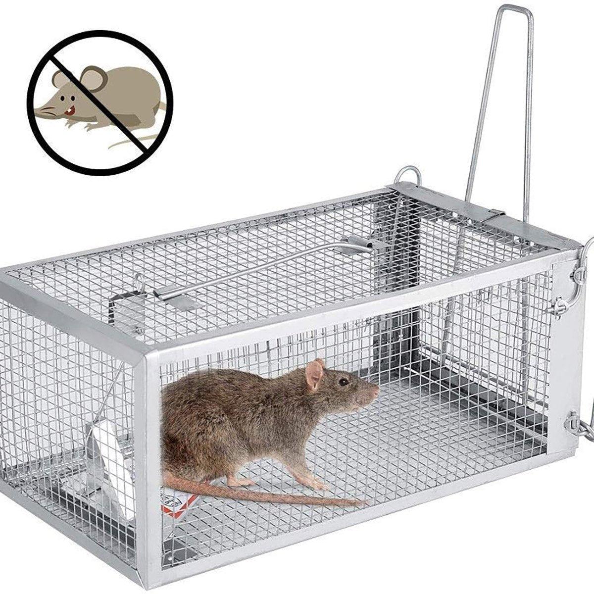 Humane Rat Trap Cage Live 1 Door Animal Catch Pest Rodent Mouse Bait Control Box