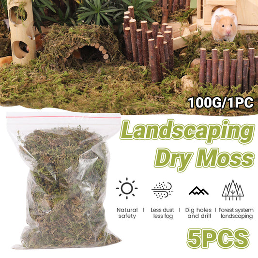 5pcs Natural Flower Grass Bedding Dried Moss Hamster Cage Decor Breeding Box
