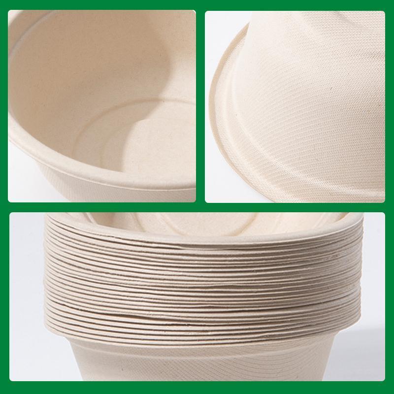 250PCS Food Preparation Burger Storages Cake Packaging Box Lunch Boxes Primary - Primary 350ml+PP lid