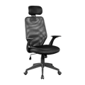 Ergonomic Mesh Office Chair