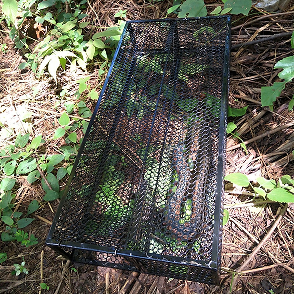 Humane Snake Trap Remove Small to Medium Snakes 2 Doors