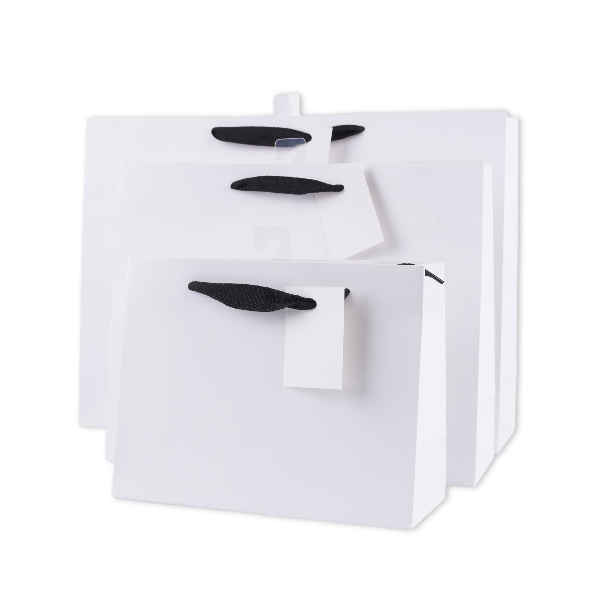 bulk 24 Large Landscape Gift Bags w Handle 26x32cm