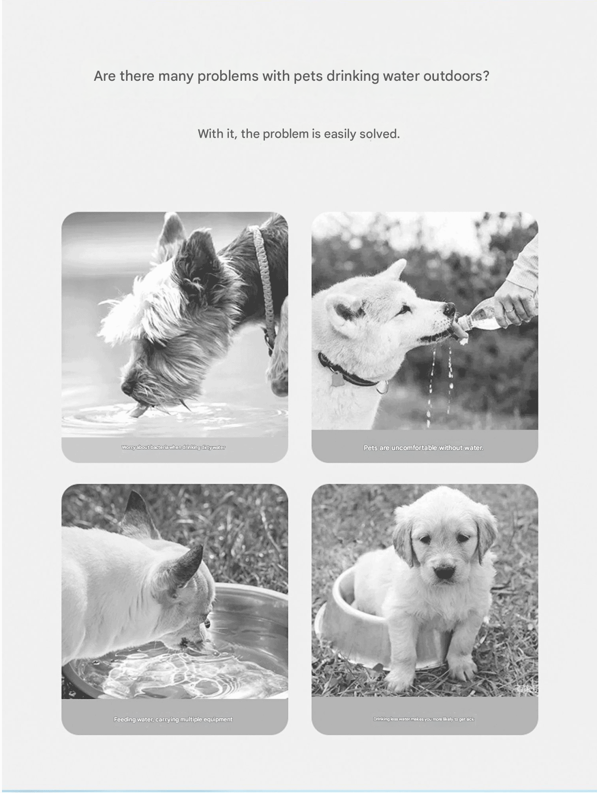 Purple Portable Dog Water Bottle with Food Container - 2-in-1 Leak-Proof Pet Travel Water Dispenser, Cloud-Shaped Drinking Bowl, Twist-to-Dispense Design, BPA-Free HIPS/PET Material for Walking Hiking Travel