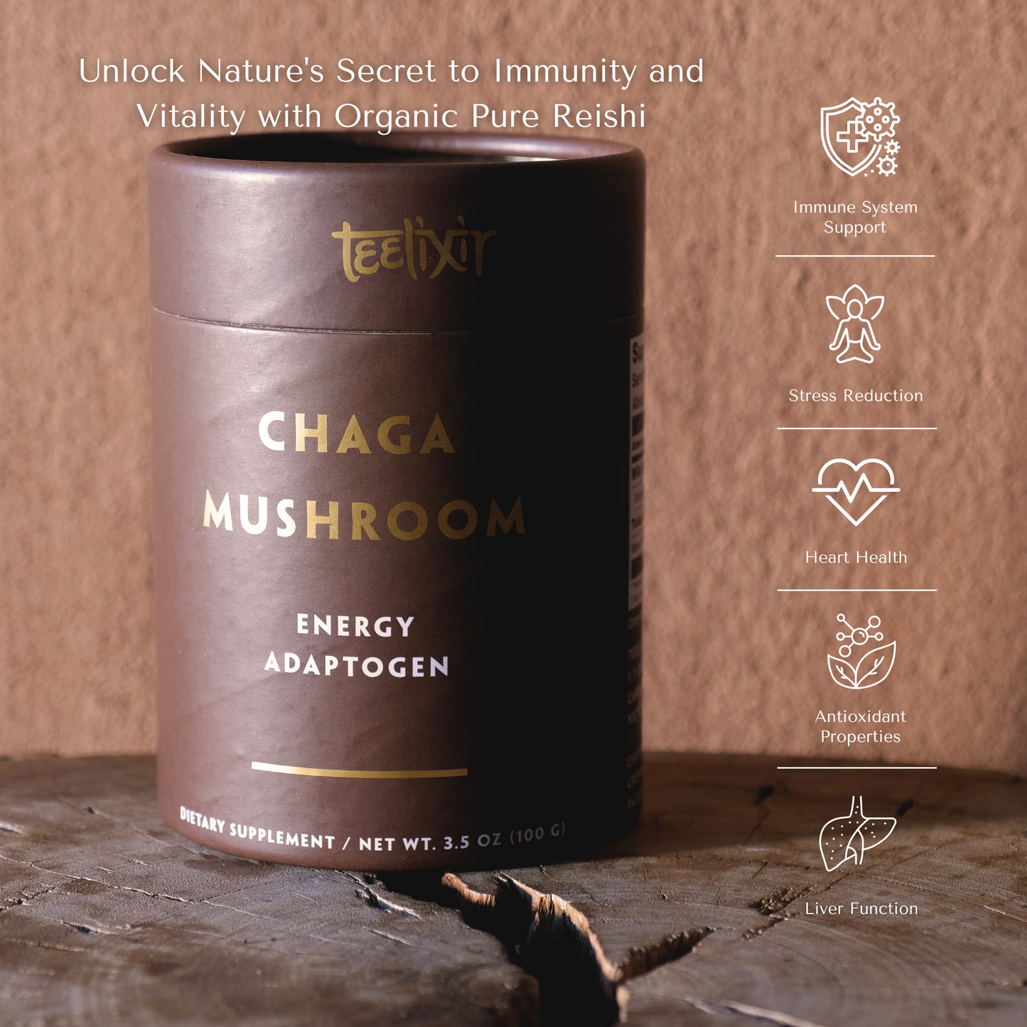 Organic Chaga Mushroom 500g