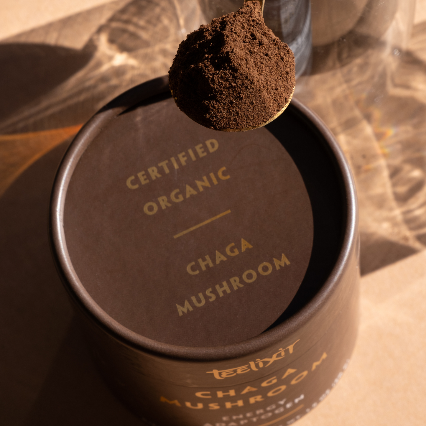 Organic Chaga Mushroom 50g