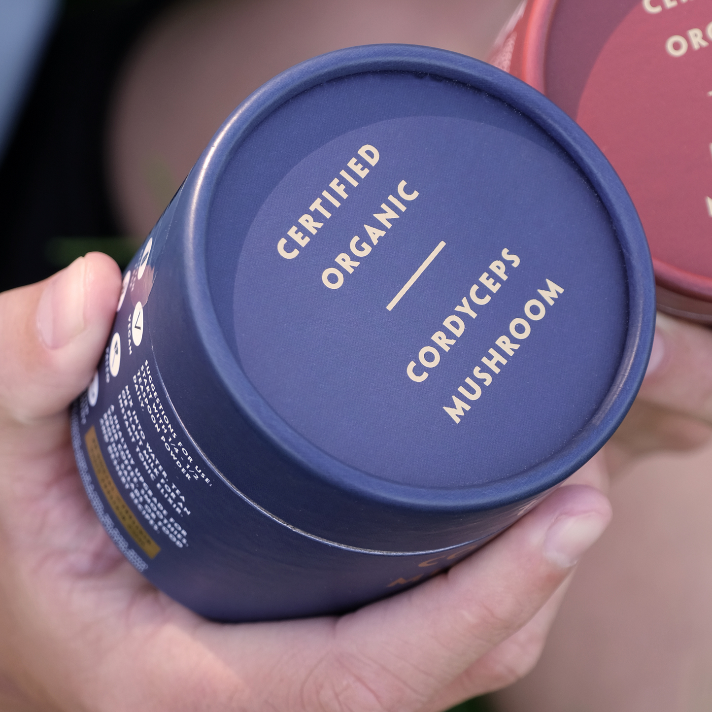 Organic Cordyceps Mushroom 100g