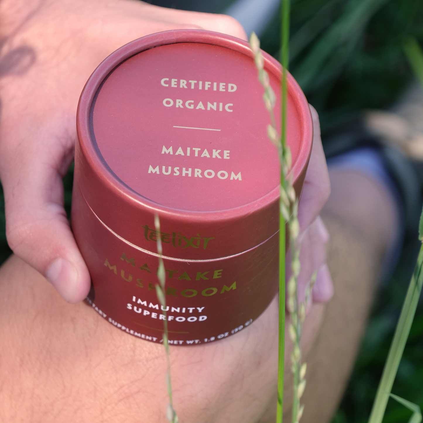 Organic Maitake Mushroom 50g