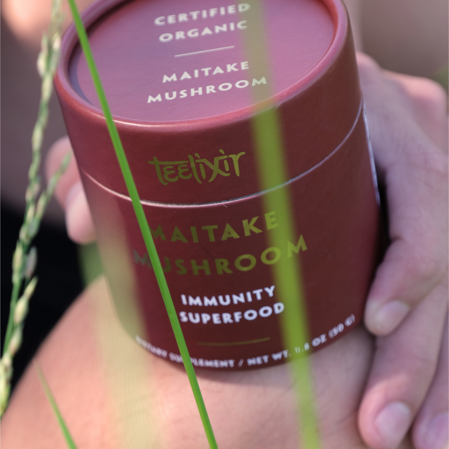 Organic Maitake Mushroom 50g