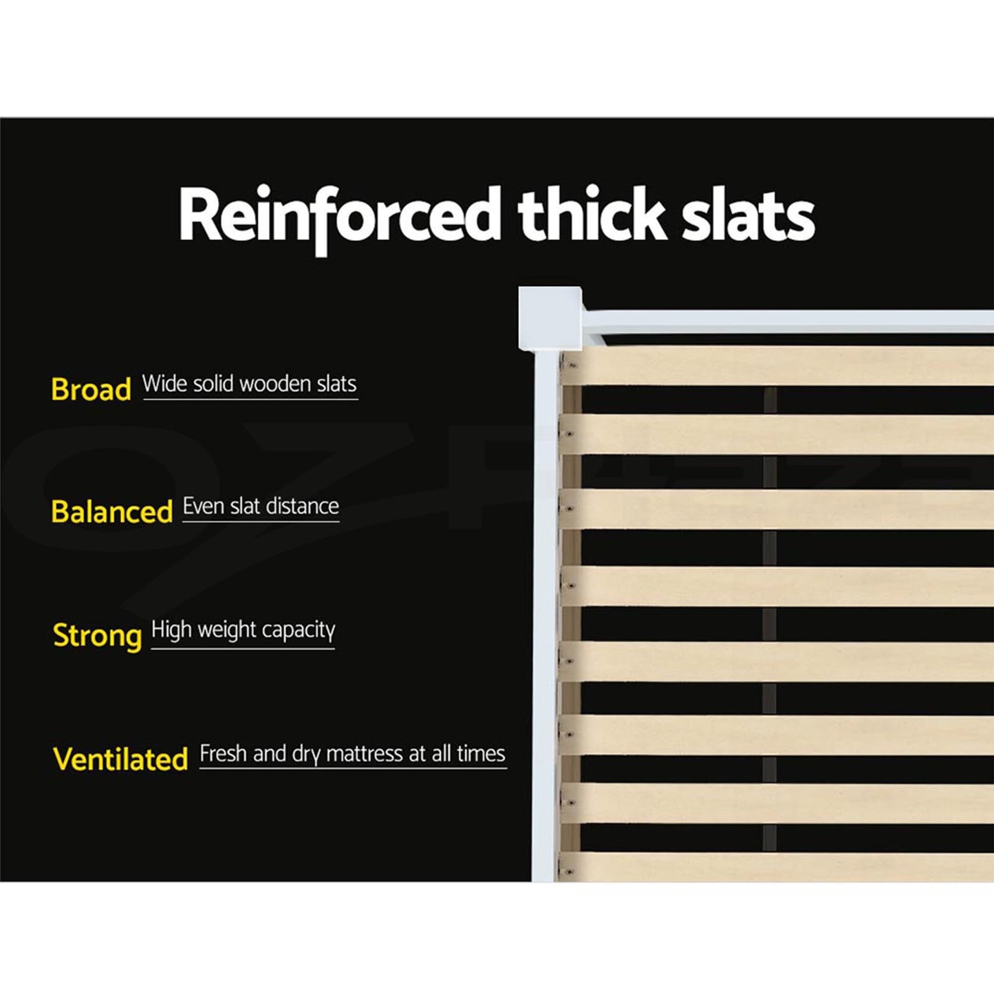 Bed Frame Single Size Wooden with 2 Drawers White RIO